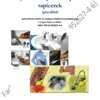 BIZNESPLAN czyszczenie parowe i pranie tapicerek