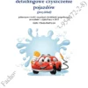 BIZNESPLAN detailingowe czyszczenie pojazdów
