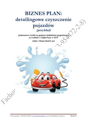 BIZNESPLAN detailingowe czyszczenie pojazdów