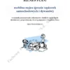 BIZNESPLAN mobilna myjnia (pranie tapicerek samochodowych i dywanów)