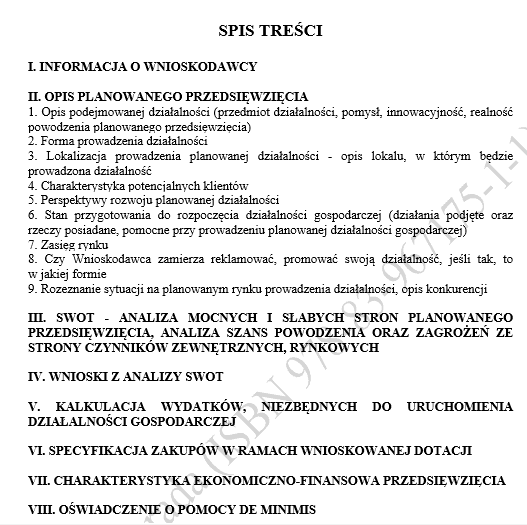 Biznesplan psi salon piękności na kółkach / mobilny groomer – wzór PDF do dotacji
