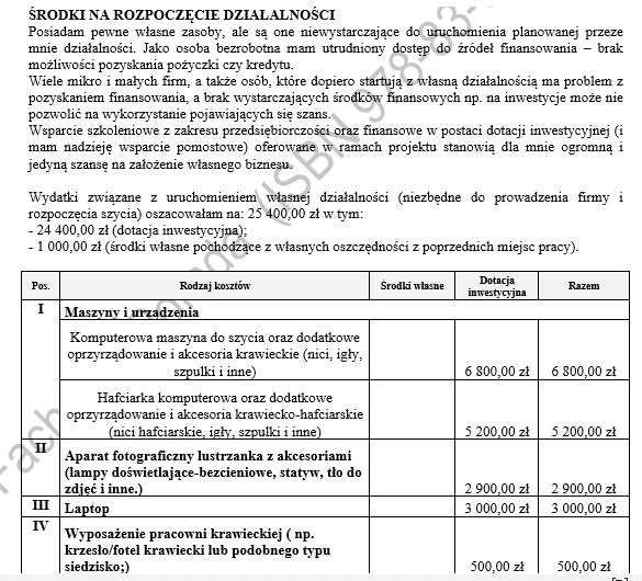 Biznesplan rękodzieło dla dzieci + sklep internetowy PDF – wzór do dotacji