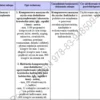 Biznesplan rękodzieło dla dzieci + sklep internetowy PDF – wzór do dotacji