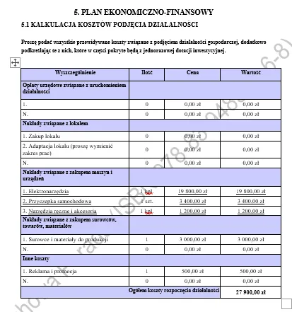 plan ekonomiczny BIZNESPLAN produkcja maszyn, urządzeń i wyrobów z metalu PDF – wzór do dotacji