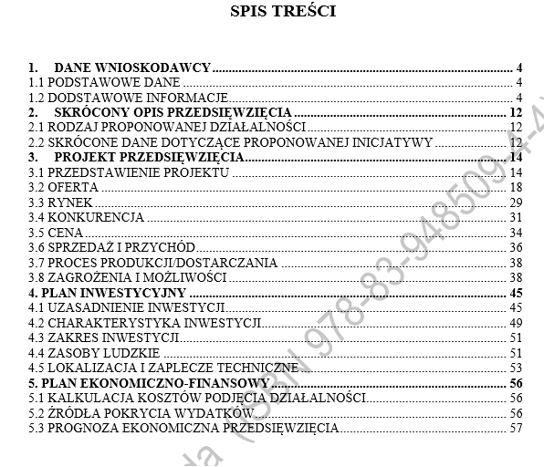 Biznesplan rękodzieło dla dzieci + sklep internetowy PDF – wzór do dotacji