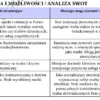 Biznesplan opiekun dzienny nad dziećmi do lat 3 – wzór PDF do dotacji