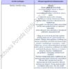 Biznesplan mobilny podolog – wzór PDF do dotacji