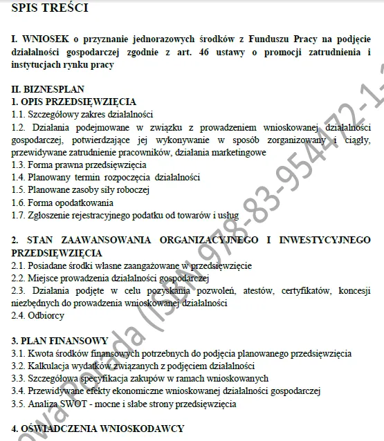 BIZNESPLAN agencja marketingowa kanał internetowy - gotowy wzór PDF do dotacji