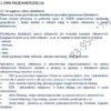 BIZNESPLAN agencja marketingowa kanał internetowy - gotowy wzór PDF do dotacji