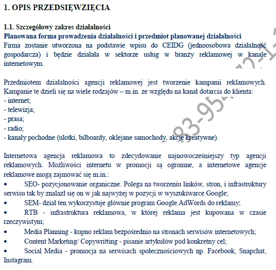 BIZNESPLAN agencja marketingowa kanał internetowy - gotowy wzór PDF do dotacji