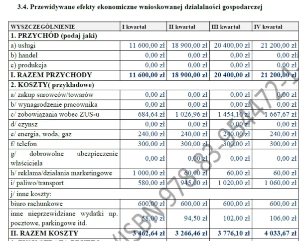 BIZNESPLAN agencja marketingowa kanał internetowy - gotowy wzór PDF do dotacji