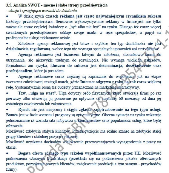 BIZNESPLAN agencja marketingowa kanał internetowy - gotowy wzór PDF do dotacji
