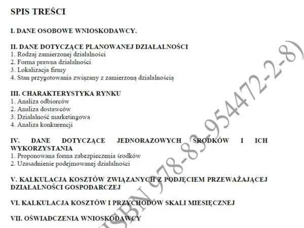 BIZNESPLAN detailingowe czyszczenie pojazdów - gotowy wzór PDF do dotacji