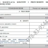 BIZNESPLAN detailingowe czyszczenie pojazdów - gotowy wzór PDF do dotacji