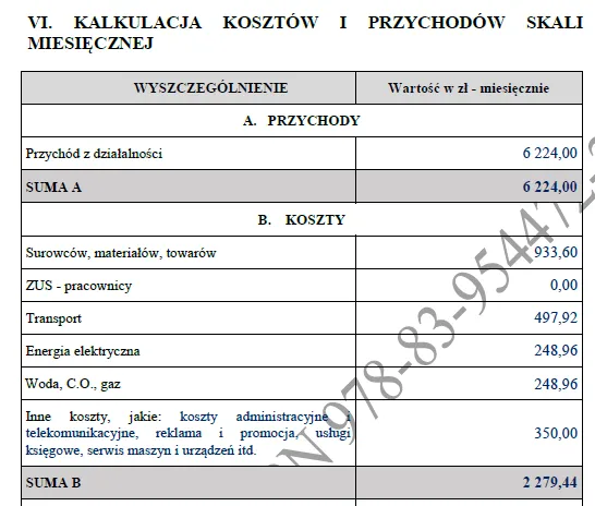 BIZNESPLAN detailingowe czyszczenie pojazdów - gotowy wzór PDF do dotacji