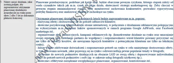 Biznesplan studio fotograficzne - naturalna fotografia rodzinna w stylu lifestyle – gotowy wzór PDF do dotacji
