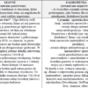 Biznesplan pracownia krawiecka – gotowy wzór PDF do dotacji