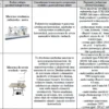 Biznesplan pracownia krawiecka – gotowy wzór PDF do dotacji