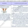 Biznesplan mobilny podolog – wzór PDF do dotacji