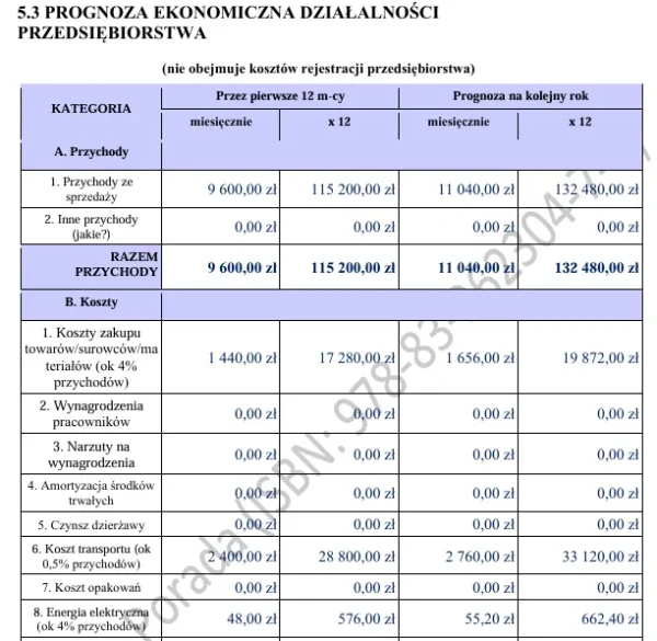 Biznesplan mobilny podolog – wzór PDF do dotacji