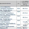 usługi BIZNESPLAN biuro rachunkowe – wzór PDF do dotacji