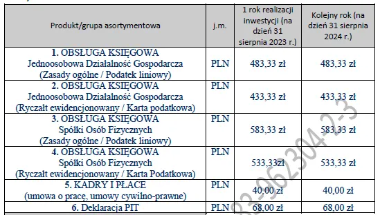 usługi BIZNESPLAN biuro rachunkowe – wzór PDF do dotacji