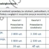 BIZNESPLAN znakowanie odzieży (haft komputerowy, termotransfer, projektowanie) – wzór PDF do dotacji