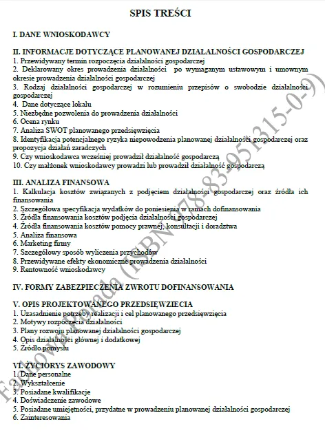 BIZNESPLAN auto detailing (warsztat samochodowy, polerowanie i pranie tapicerki) - wzór PDF do dotacji