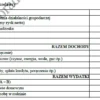 BIZNESPLAN auto detailing (warsztat samochodowy, polerowanie i pranie tapicerki) - wzór PDF do dotacji