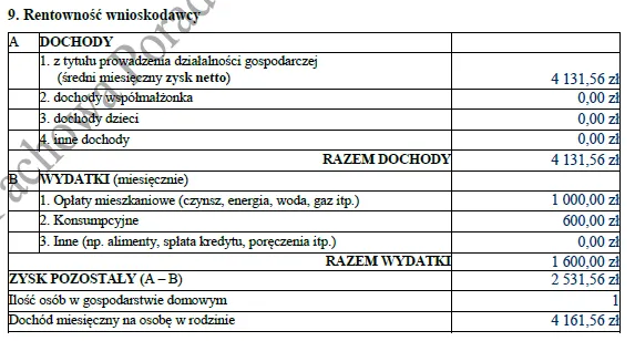 BIZNESPLAN auto detailing (warsztat samochodowy, polerowanie i pranie tapicerki) - wzór PDF do dotacji