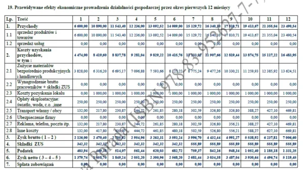 BIZNESPLAN hurtownia kosmetyczna (kosmetyka profesjonalna) – wzór PDF do dotacji