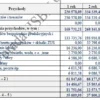 BIZNESPLAN hurtownia kosmetyczna (kosmetyka profesjonalna) – wzór PDF do dotacji