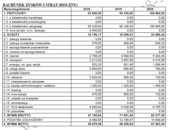 BIZNESPLAN nauczanie języka angielskiego dzieci (zajęcia językowe) - wzór PDF do dotacji