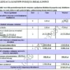 BIZNESPLAN pieczenie ciast i tortów na zamówienie - wzór PDF do dotacji
