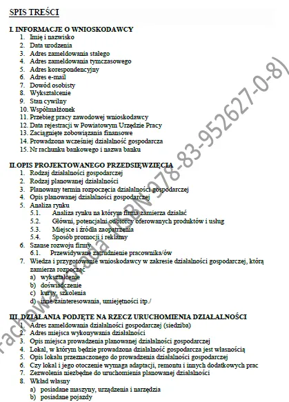 BIZNESPLAN pomoc drogowa (autoholowanie i transport pojazdów) – wzór PDF do dotacji