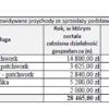 BIZNESPLAN pracownia szycia i haftu (haft, dekoracje i rękodzieło) - wzór PDF do dotacji
