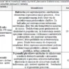 BIZNESPLAN pracownia szycia i haftu (haft, dekoracje i rękodzieło) - wzór PDF do dotacji