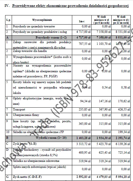 Biznesplan pranie tapicerki i czyszczenie parowe – wzór PDF do dotacji