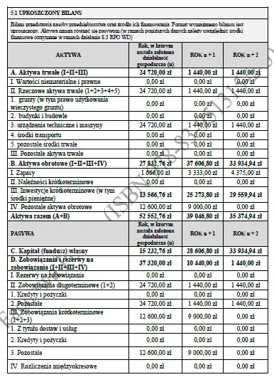 BIZNESPLAN sklep motocyklowy (sklep online z częściami + serwis) - wzór PDF do dotacji