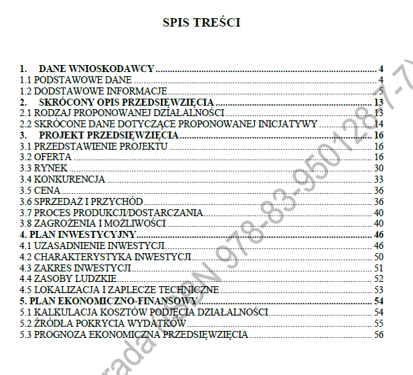 BIZNESPLAN usługi hydrauliczne (instalacje wodne, grzewcze i pompy ciepła) - wzór PDF do dotacji