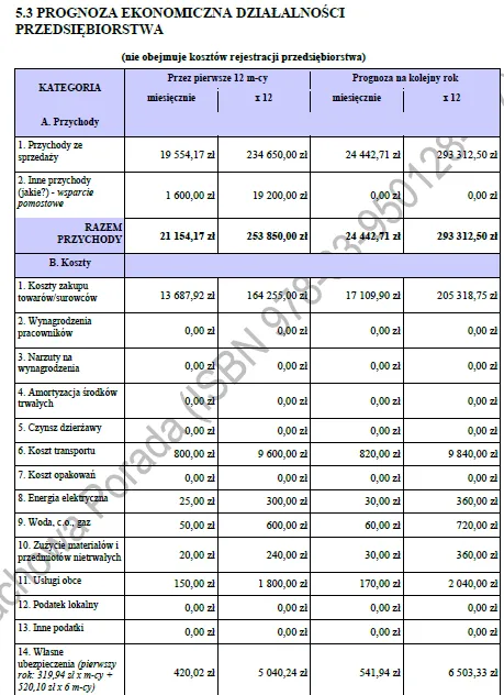 BIZNESPLAN usługi hydrauliczne (instalacje wodne, grzewcze i pompy ciepła) - wzór PDF do dotacji