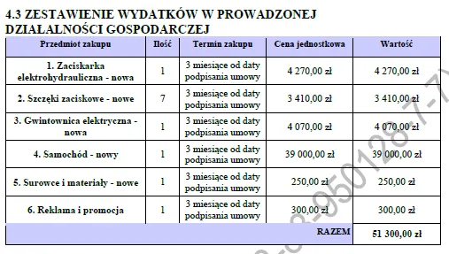 BIZNESPLAN usługi hydrauliczne (instalacje wodne, grzewcze i pompy ciepła) - wzór PDF do dotacji