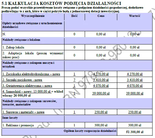 BIZNESPLAN usługi hydrauliczne (instalacje wodne, grzewcze i pompy ciepła) - wzór PDF do dotacji