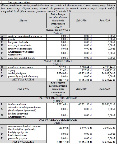 BIZNESPLAN usługi krawieckie (projektowanie i szycie odzieży) - wzór PDF do dotacji