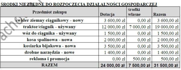 BIZNESPLAN usługi leśne (zrywka drewna, pielęgnacja i ochrona lasu) - wzór PDF do dotacji