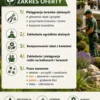 BIZNESPLAN usługi ogrodnicze (pielęgnacja ogrodów i terenów zielonych) – wzór PDF do dotacji