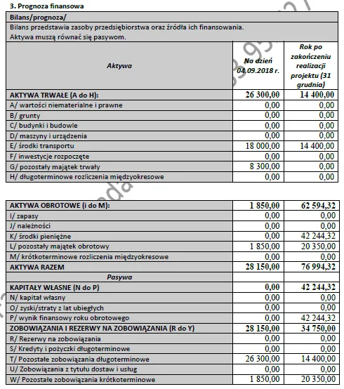 BIZNESPLAN usługi remontowo-budowlane – wzór PDF do dotacji