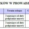 BIZNESPLAN wynajem pokoi (pokoje gościnne i miejsca noclegowe) - wzór PDF do dotacji
