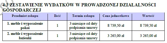 BIZNESPLAN wynajem pokoi (pokoje gościnne i miejsca noclegowe) - wzór PDF do dotacji