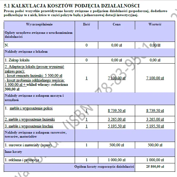 BIZNESPLAN wynajem pokoi (pokoje gościnne i miejsca noclegowe) - wzór PDF do dotacji